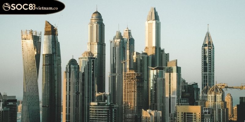 CEO Tuấn Tike 3 Nỗ lực xây dựng văn hóa doanh nghiệp